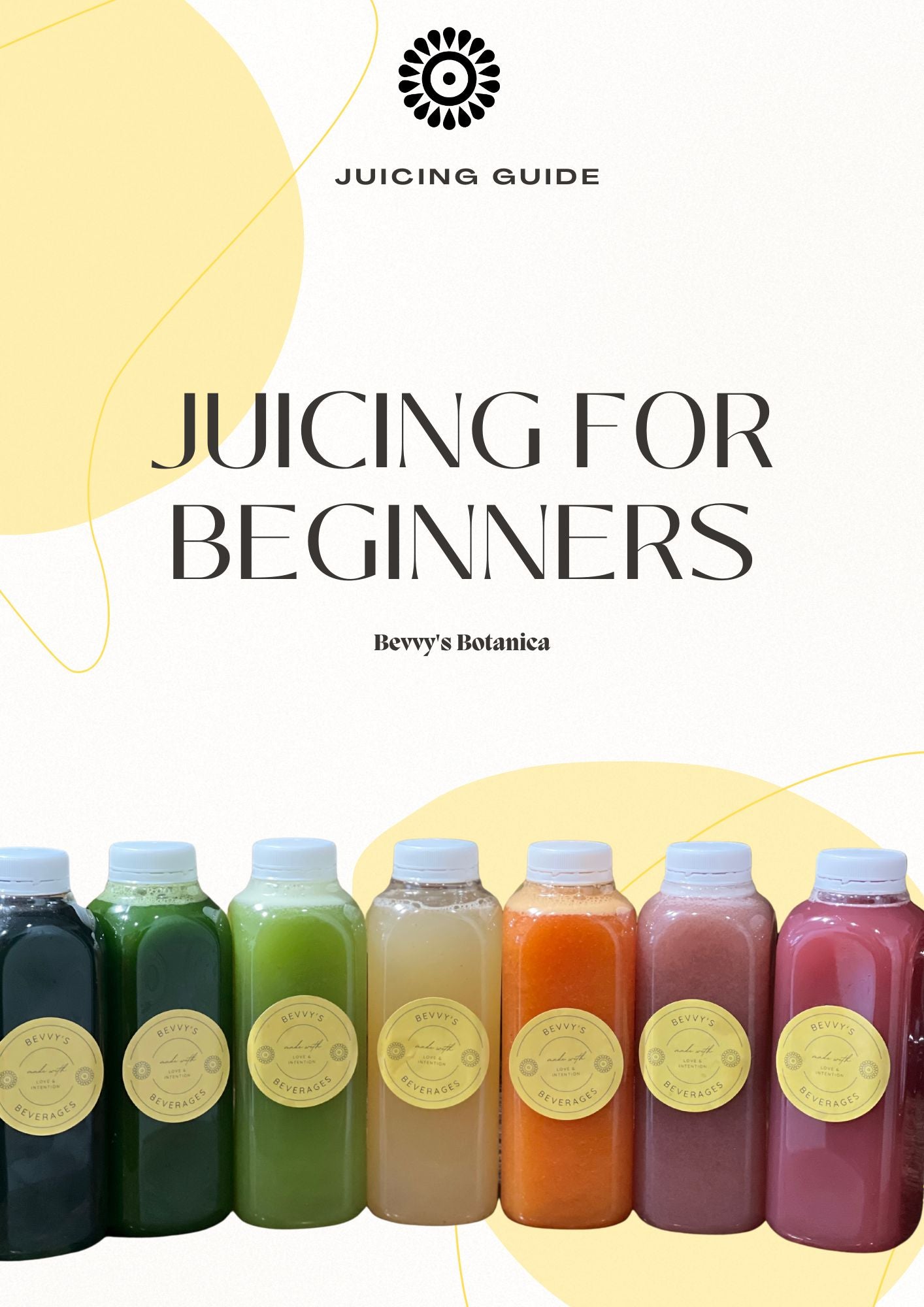 Beginners Holistic Health Bundle