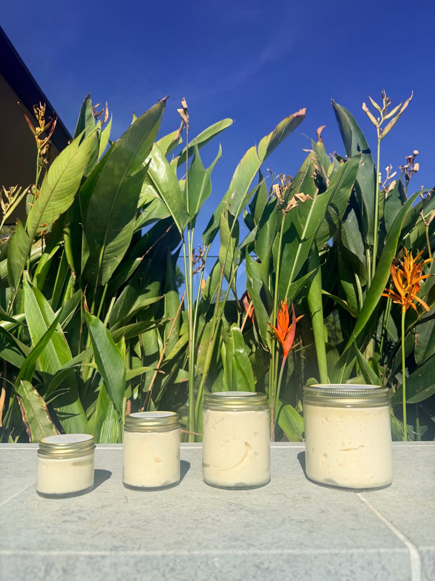 Bevvy’s Shea Butter